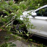 The 5 most common car insurance...