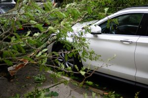 The 5 most common car insurance...