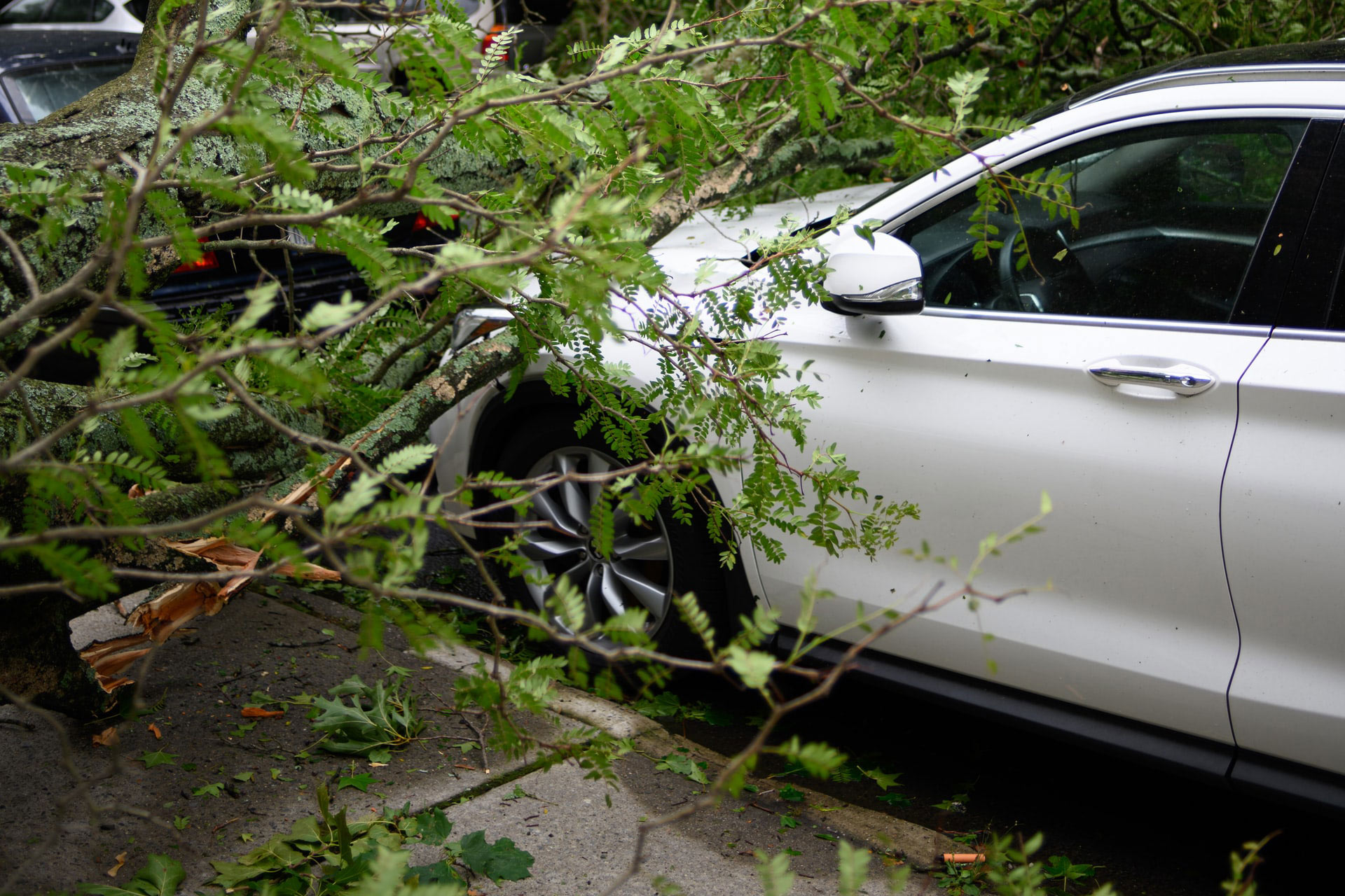 The 5 most common car insurance...